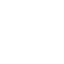 frozen icon